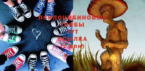 хмурый Долгопрудный