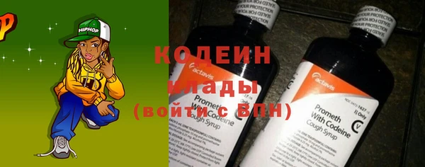 хмурый Долгопрудный