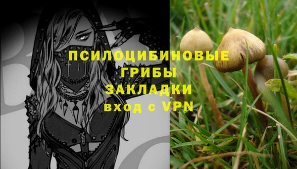 гидра Сясьстрой