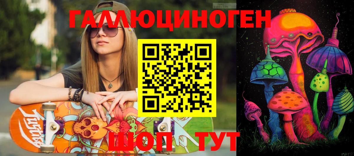 Галлюциногенные грибы Psilocybine cubensis  Балашов  Псилоцибиновые грибы Cubensis 