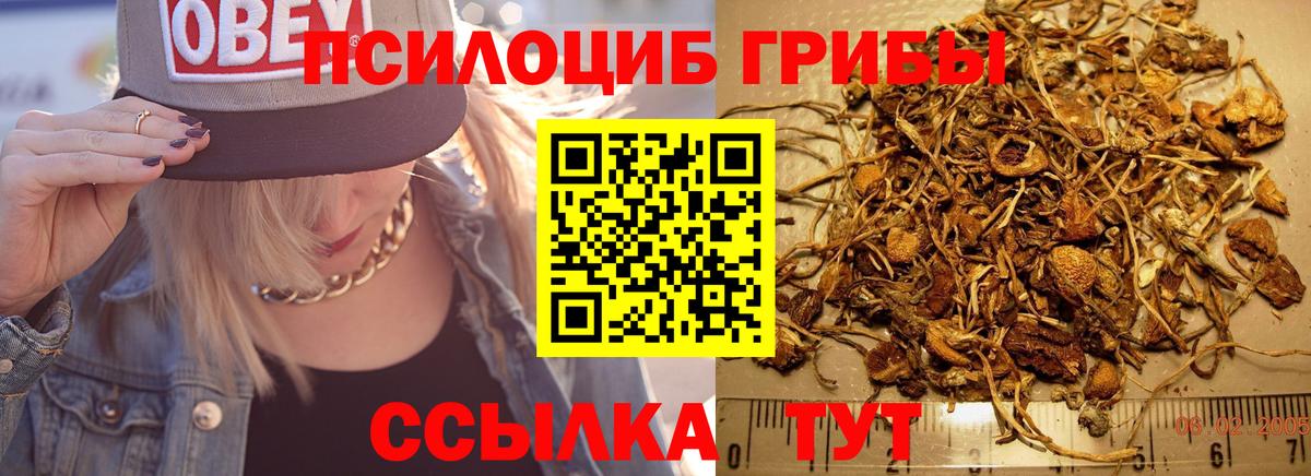 Галлюциногенные грибы мицелий Балашов