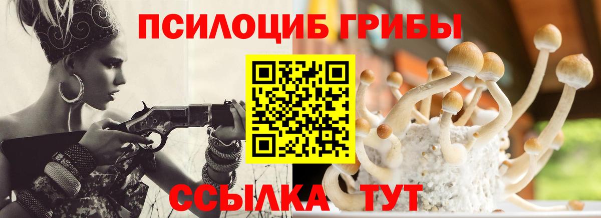 Псилоцибиновые грибы Magic Shrooms  Вход с VPN  Балашов 