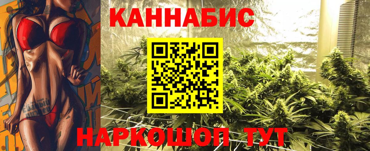Бошки Шишки SATIVA & INDICA  Канабис гибрид  Балашов  Бошки Шишки семена 